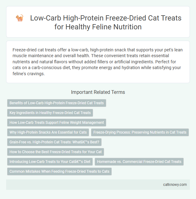 Low-Carb High-Protein Freeze-Dried Cat Treats for Healthy Feline Nutrition