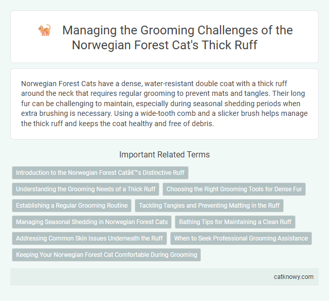 Managing the Grooming Challenges of the Norwegian Forest Cat's Thick Ruff