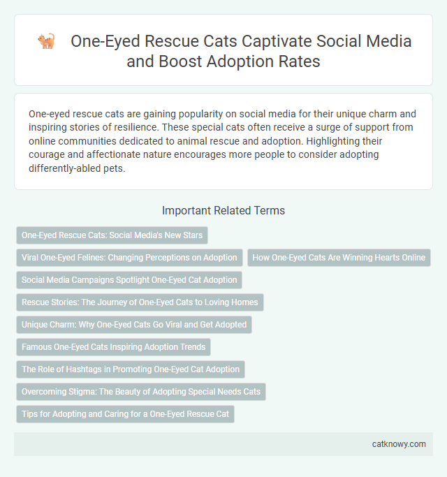 One-Eyed Rescue Cats Captivate Social Media and Boost Adoption Rates