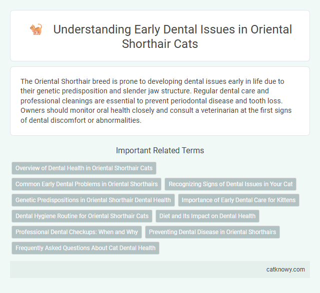 Understanding Early Dental Issues in Oriental Shorthair Cats