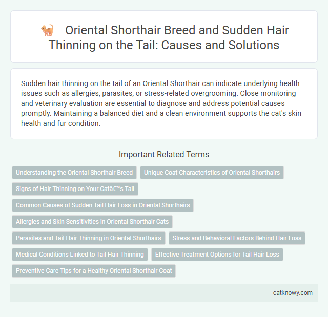 Oriental Shorthair Breed and Sudden Hair Thinning on the Tail: Causes and Solutions