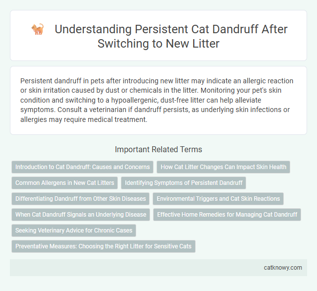 Understanding Persistent Cat Dandruff After Switching to New Litter