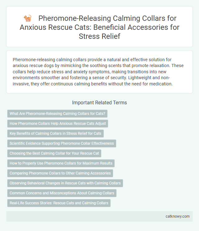 Pheromone-Releasing Calming Collars for Anxious Rescue Cats: Beneficial Accessories for Stress Relief