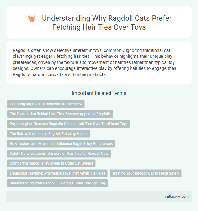 Understanding Why Ragdoll Cats Prefer Fetching Hair Ties Over Toys