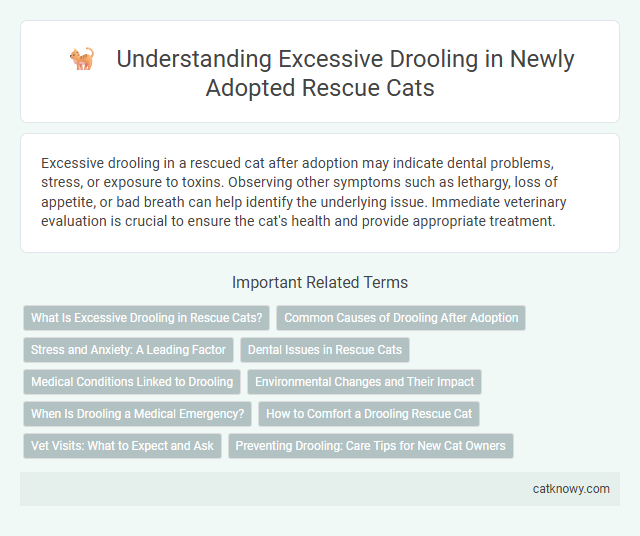 Understanding Excessive Drooling in Newly Adopted Rescue Cats