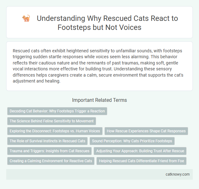 Understanding Why Rescued Cats React to Footsteps but Not Voices