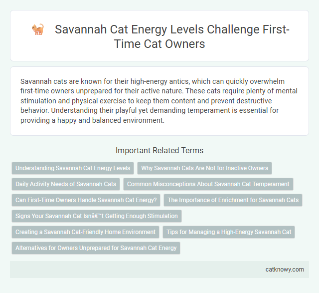Savannah Cat Energy Levels Challenge First-Time Cat Owners