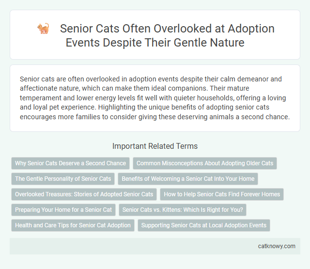 Senior Cats Often Overlooked at Adoption Events Despite Their Gentle Nature