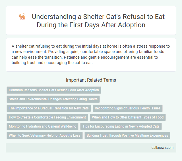Understanding a Shelter Cat's Refusal to Eat During the First Days After Adoption