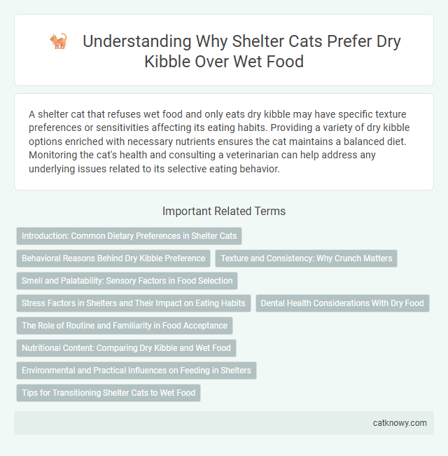 Understanding Why Shelter Cats Prefer Dry Kibble Over Wet Food
