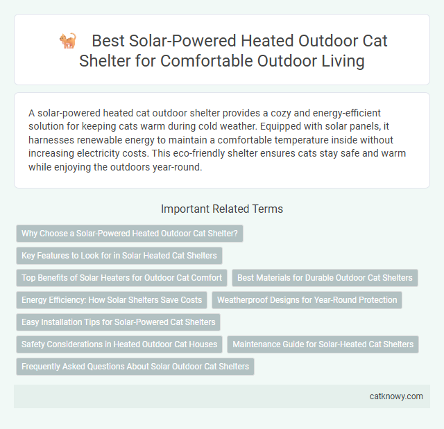 Best Solar-Powered Heated Outdoor Cat Shelter for Comfortable Outdoor Living