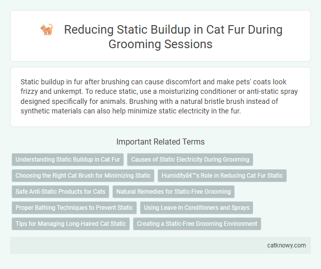 Reducing Static Buildup in Cat Fur During Grooming Sessions