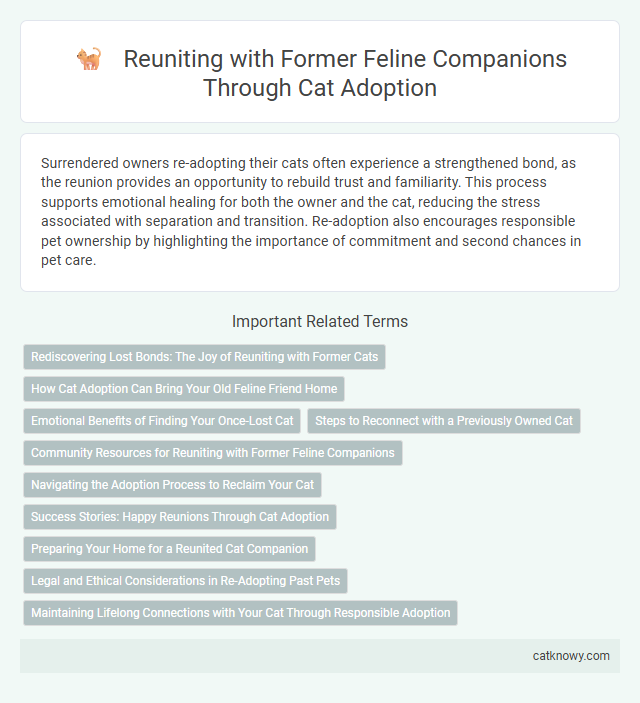 Reuniting with Former Feline Companions Through Cat Adoption