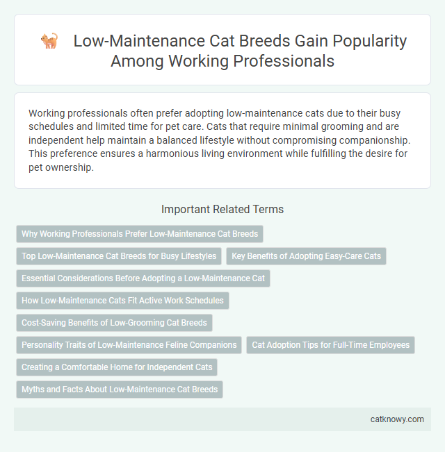 Low-Maintenance Cat Breeds Gain Popularity Among Working Professionals