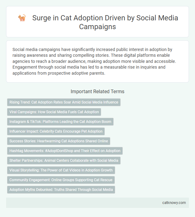 Surge in Cat Adoption Driven by Social Media Campaigns