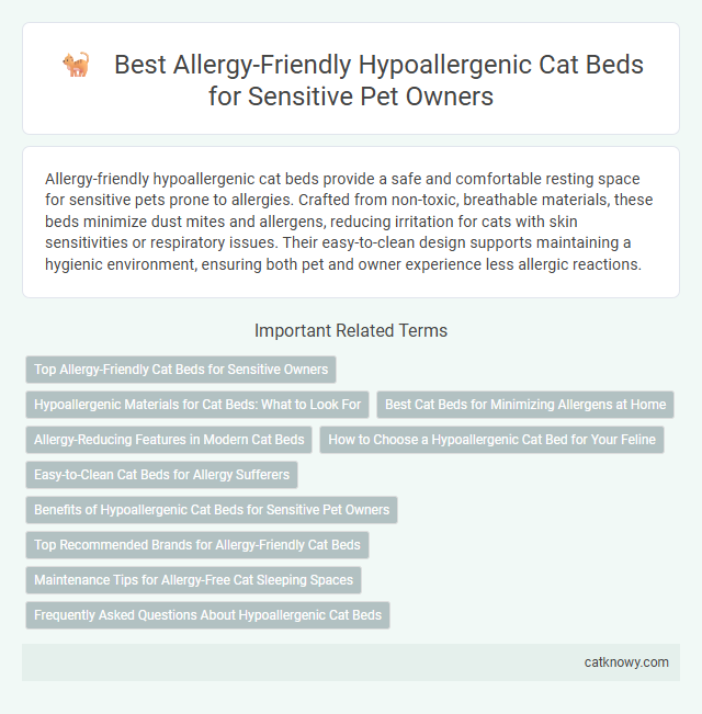 Best Allergy-Friendly Hypoallergenic Cat Beds for Sensitive Pet Owners