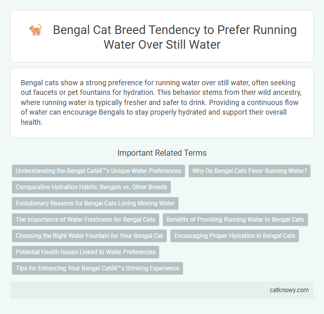 Bengal Cat Breed Tendency to Prefer Running Water Over Still Water