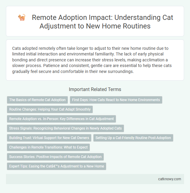 Remote Adoption Impact: Understanding Cat Adjustment to New Home Routines