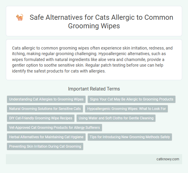 Safe Alternatives for Cats Allergic to Common Grooming Wipes