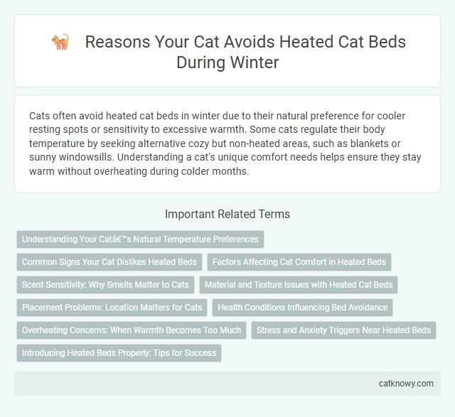 Reasons Your Cat Avoids Heated Cat Beds During Winter