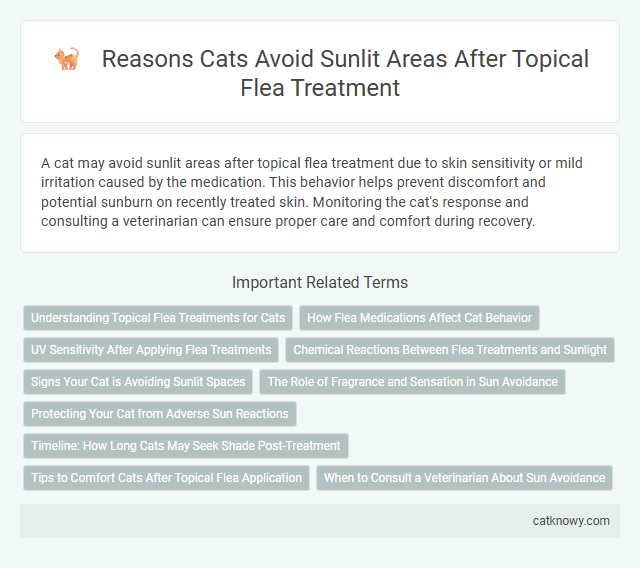 Reasons Cats Avoid Sunlit Areas After Topical Flea Treatment