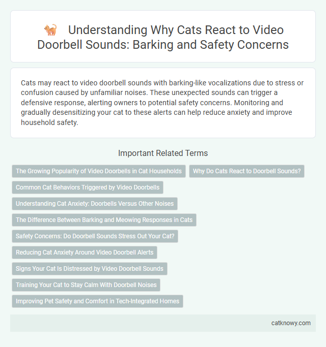 Understanding Why Cats React to Video Doorbell Sounds: Barking and Safety Concerns
