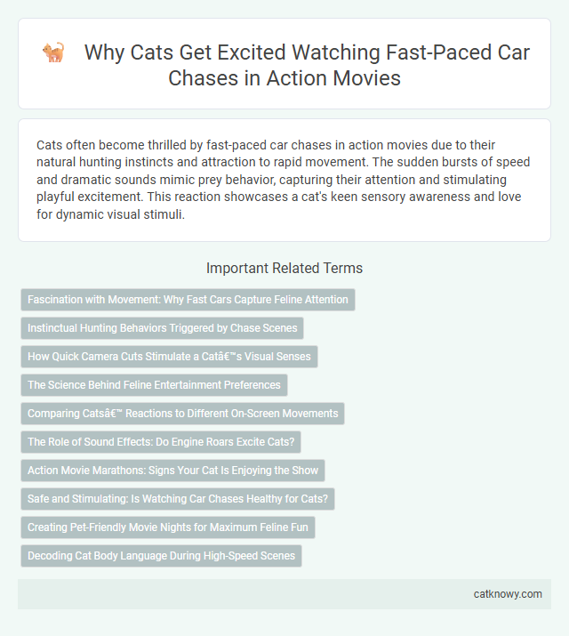 Why Cats Get Excited Watching Fast-Paced Car Chases in Action Movies