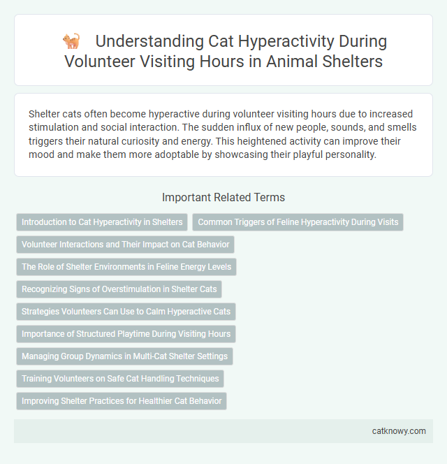 Understanding Cat Hyperactivity During Volunteer Visiting Hours in Animal Shelters