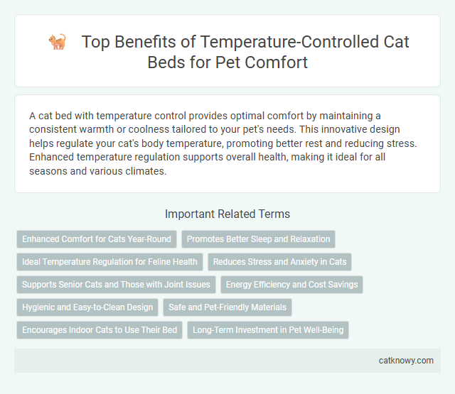 Top Benefits of Temperature-Controlled Cat Beds for Pet Comfort