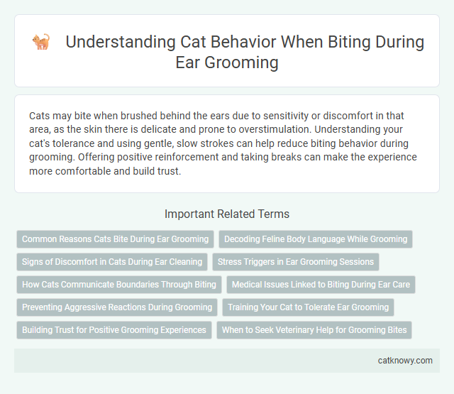 Understanding Cat Behavior When Biting During Ear Grooming