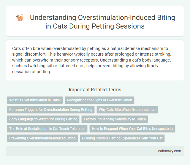 Understanding Overstimulation-Induced Biting in Cats During Petting Sessions