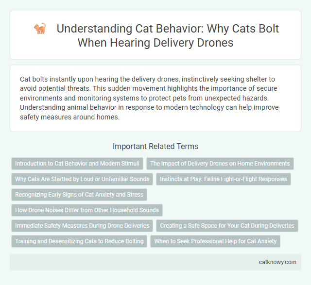 Understanding Cat Behavior: Why Cats Bolt When Hearing Delivery Drones