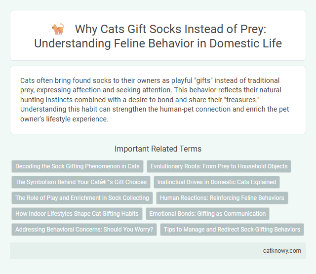 Why Cats Gift Socks Instead of Prey: Understanding Feline Behavior in Domestic Life