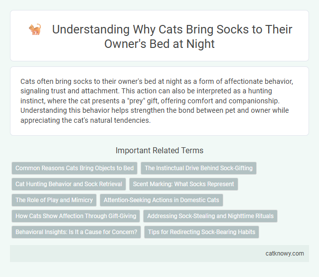 Understanding Why Cats Bring Socks to Their Owner's Bed at Night