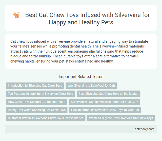 Best Cat Chew Toys Infused with Silvervine for Happy and Healthy Pets