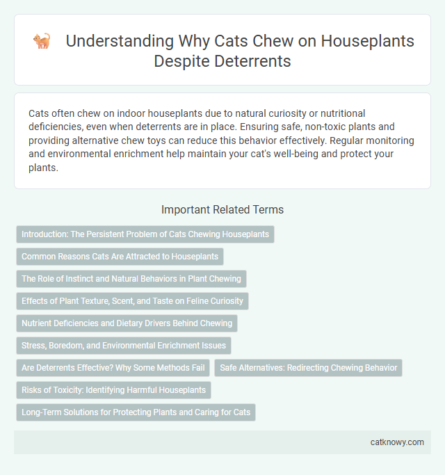 Understanding Why Cats Chew on Houseplants Despite Deterrents