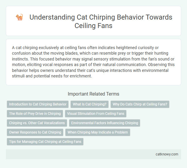 Understanding Cat Chirping Behavior Towards Ceiling Fans