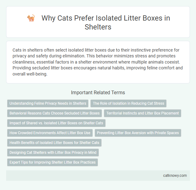 Why Cats Prefer Isolated Litter Boxes in Shelters