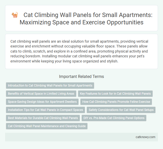 Cat Climbing Wall Panels for Small Apartments: Maximizing Space and Exercise Opportunities