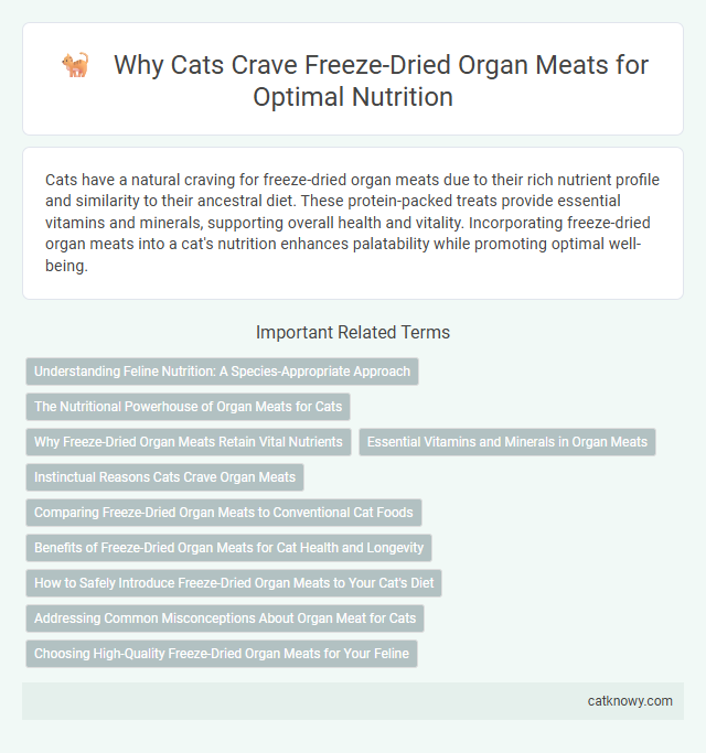 Why Cats Crave Freeze-Dried Organ Meats for Optimal Nutrition