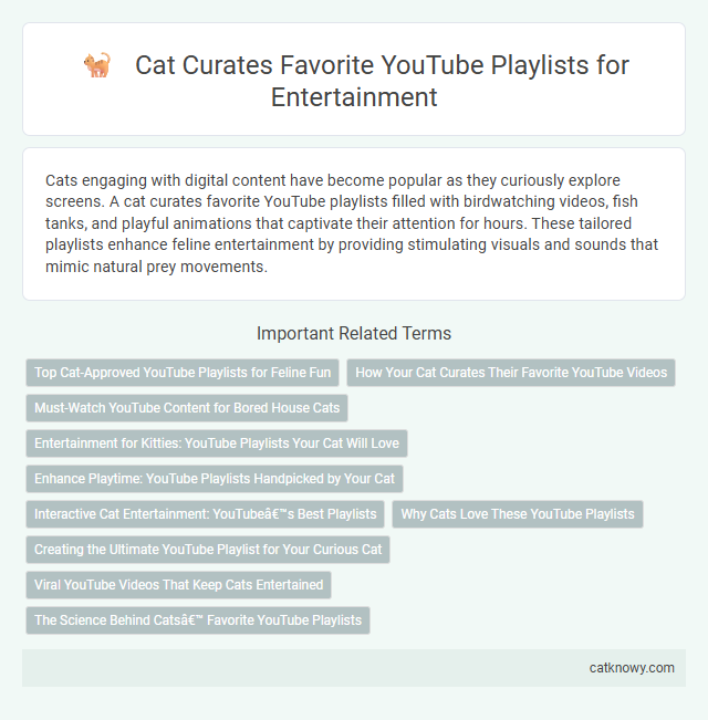 Cat Curates Favorite YouTube Playlists for Entertainment