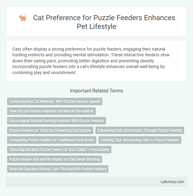 Cat Preference for Puzzle Feeders Enhances Pet Lifestyle