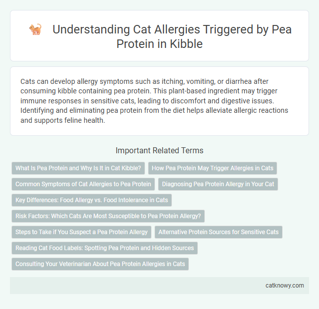 Understanding Cat Allergies Triggered by Pea Protein in Kibble