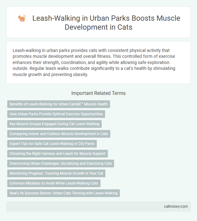 Leash-Walking in Urban Parks Boosts Muscle Development in Cats