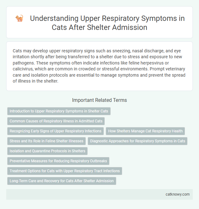 Understanding Upper Respiratory Symptoms in Cats After Shelter Admission