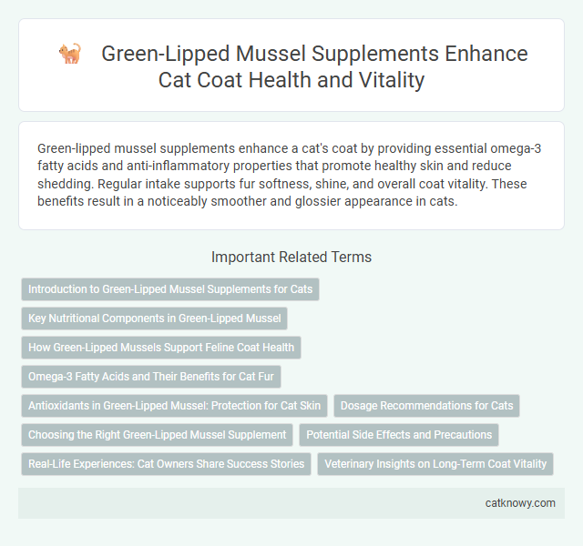 Green-Lipped Mussel Supplements Enhance Cat Coat Health and Vitality