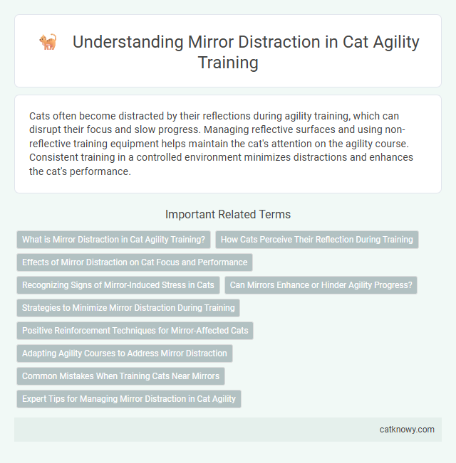 Understanding Mirror Distraction in Cat Agility Training