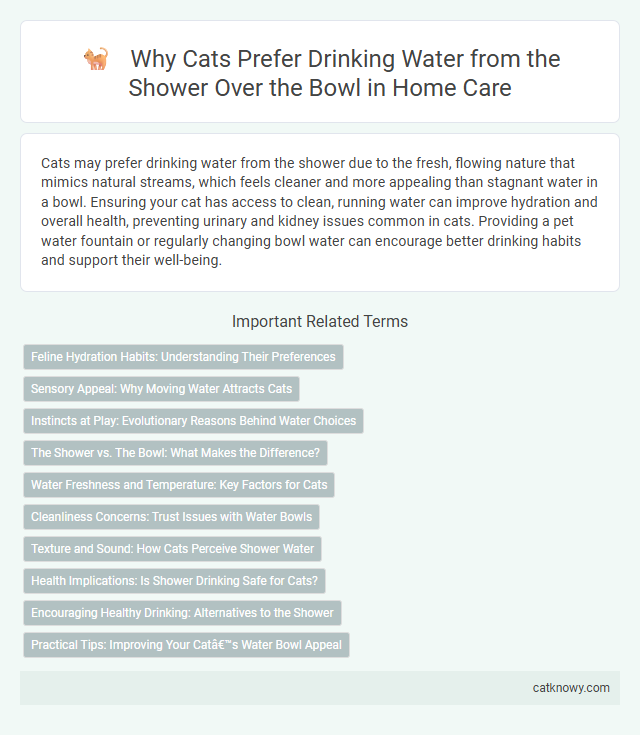 Why Cats Prefer Drinking Water from the Shower Over the Bowl in Home Care