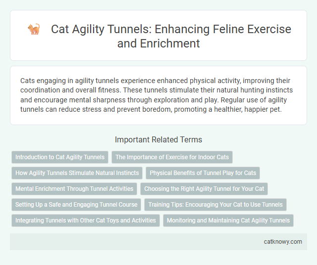 Cat Agility Tunnels: Enhancing Feline Exercise and Enrichment