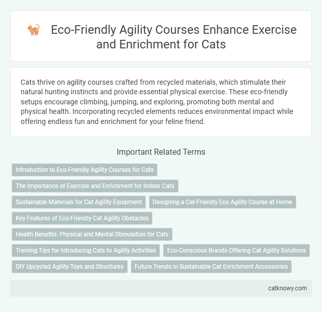 Eco-Friendly Agility Courses Enhance Exercise and Enrichment for Cats